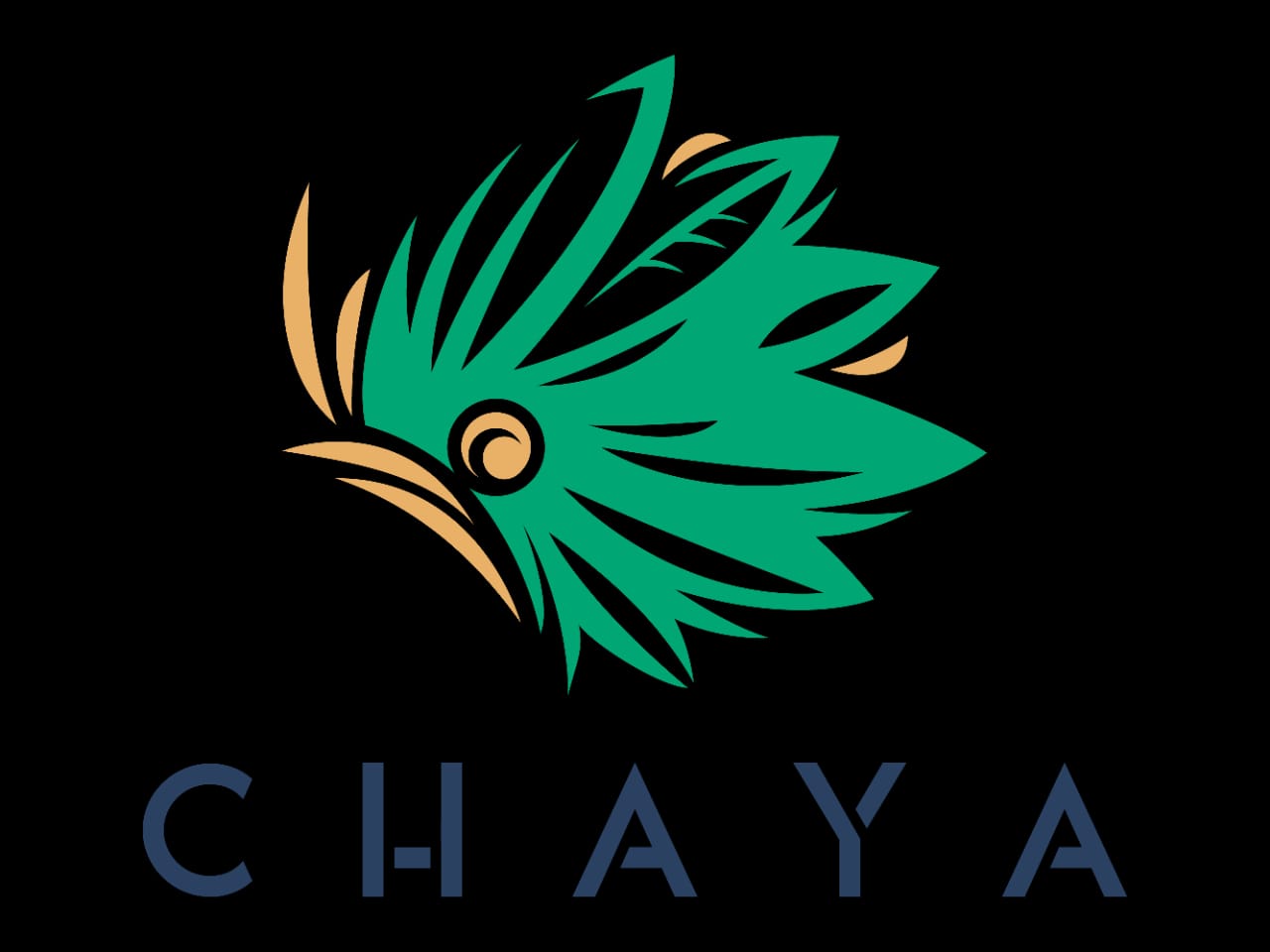 Chaya Kombucha